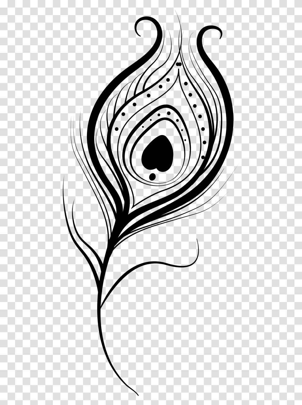 Feather Isolated Image Peacock Feather Line Art, Gray, World Of Warcraft Transparent Png