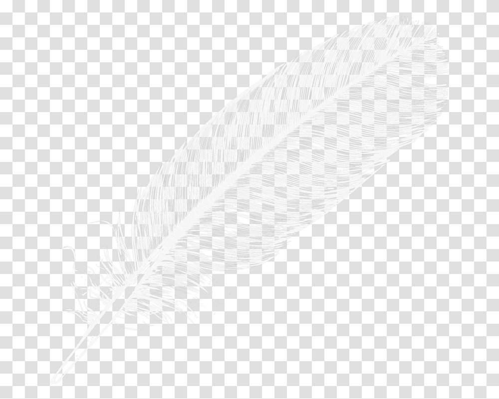 Feather Large White Feather, Bird, Animal, Drawing Transparent Png
