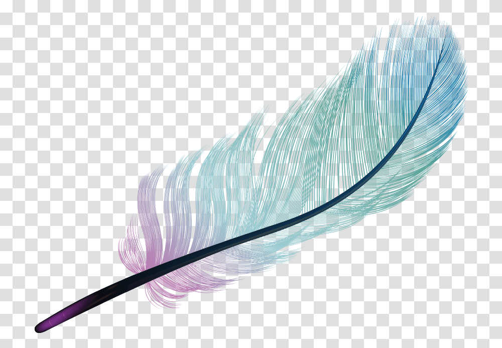 Feather Light Blue Color Feather, Leaf, Plant, Bottle, Ink Bottle Transparent Png