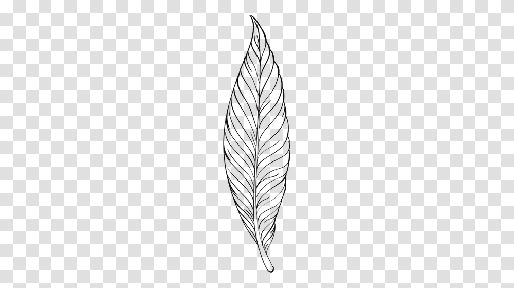 Feather Line Art Feather Line Art, Nature, Outdoors, Night, Starry Sky Transparent Png