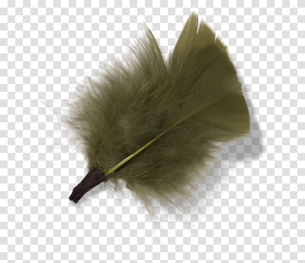 Feather Material Download Punk Fashion, Bird, Animal, Crystal, Hedgehog Transparent Png
