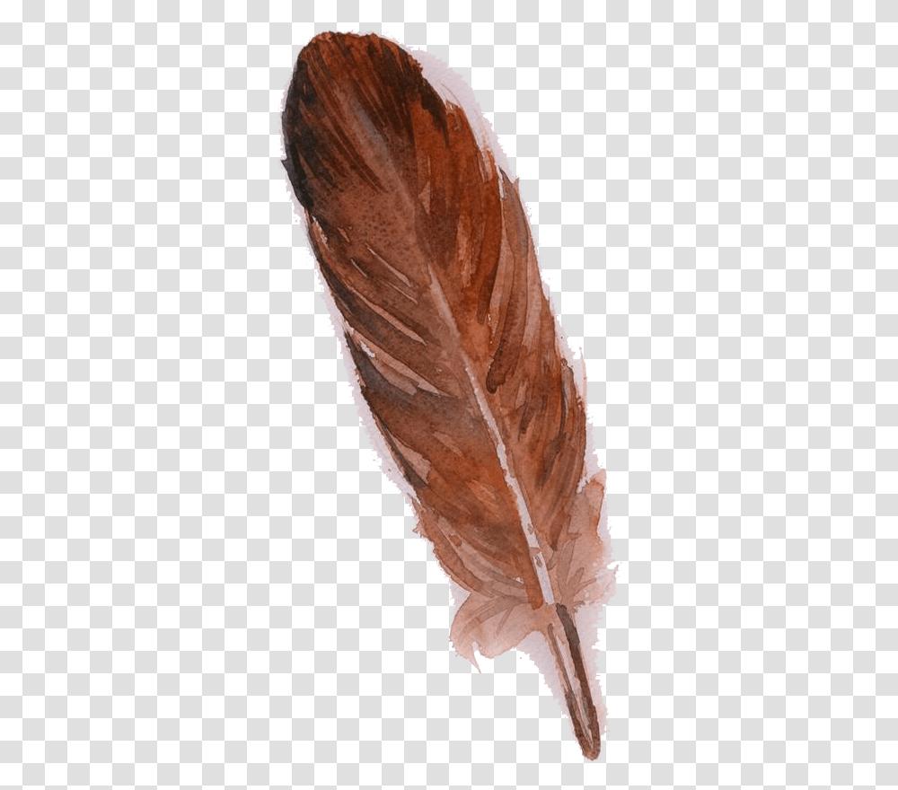 Feather Owl Brown Watercolor Painting Brown Feather, Leaf, Plant, Bird, Animal Transparent Png