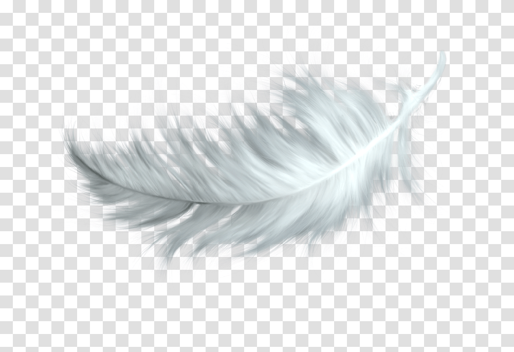 Feather Pen Black And White Birds Feather, Ornament, Pattern, Fractal, Animal Transparent Png