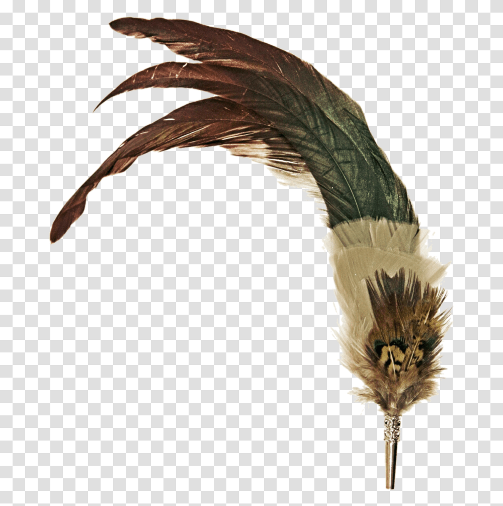 Feather Pen Vintage Pen Feather, Bird, Animal, Plant, Bronze Transparent Png