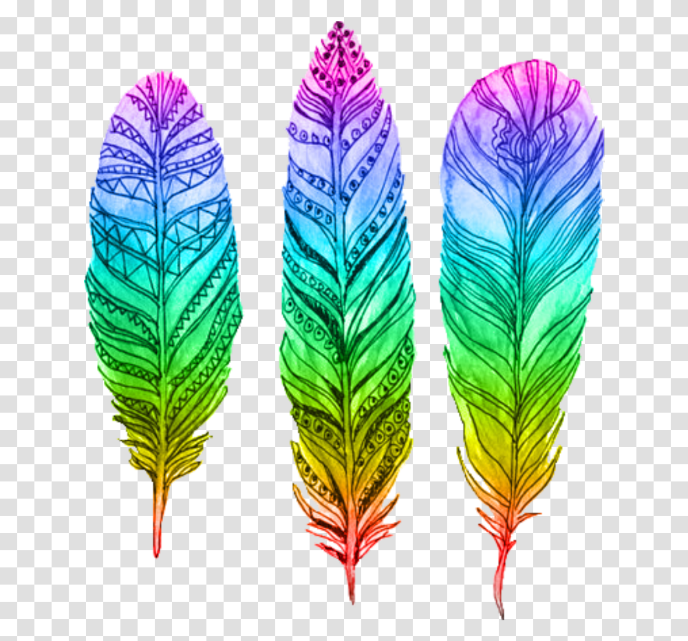 Feather Pluma Rainbow Arcoiris Interesting Art Feather Coloring Ideas, Plant, Leaf, Green, Pattern Transparent Png