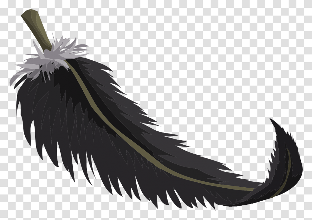 Feather Public Domain, Vulture, Bird, Animal, Eagle Transparent Png