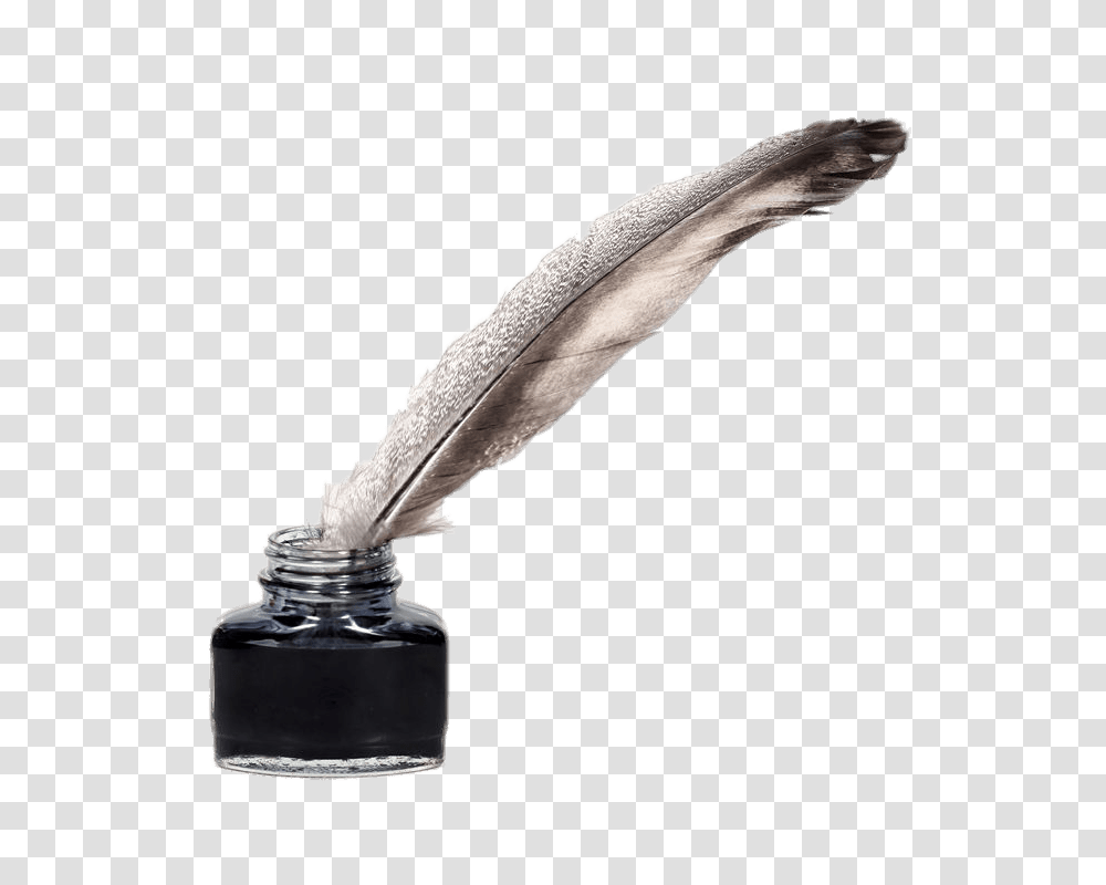 Feather Quill Pen And Ink Pot, Bottle, Ink Bottle, Bird, Animal Transparent Png