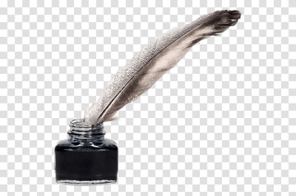 Feather Quill Pen And Ink Pot Pens In The Past, Bottle, Ink Bottle, Bird, Animal Transparent Png