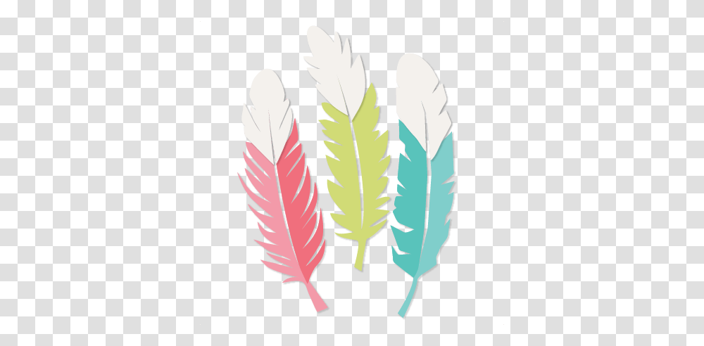 Feather Set Scrapbook Cute Clipart, Leaf, Plant, Veins, Fern Transparent Png
