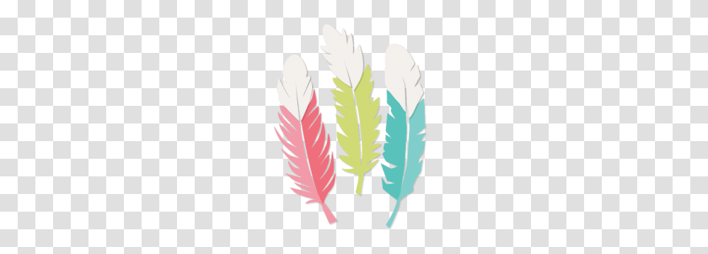 Feather Set Scrapbook Cute Clipart, Plant, Leaf, Apparel Transparent Png