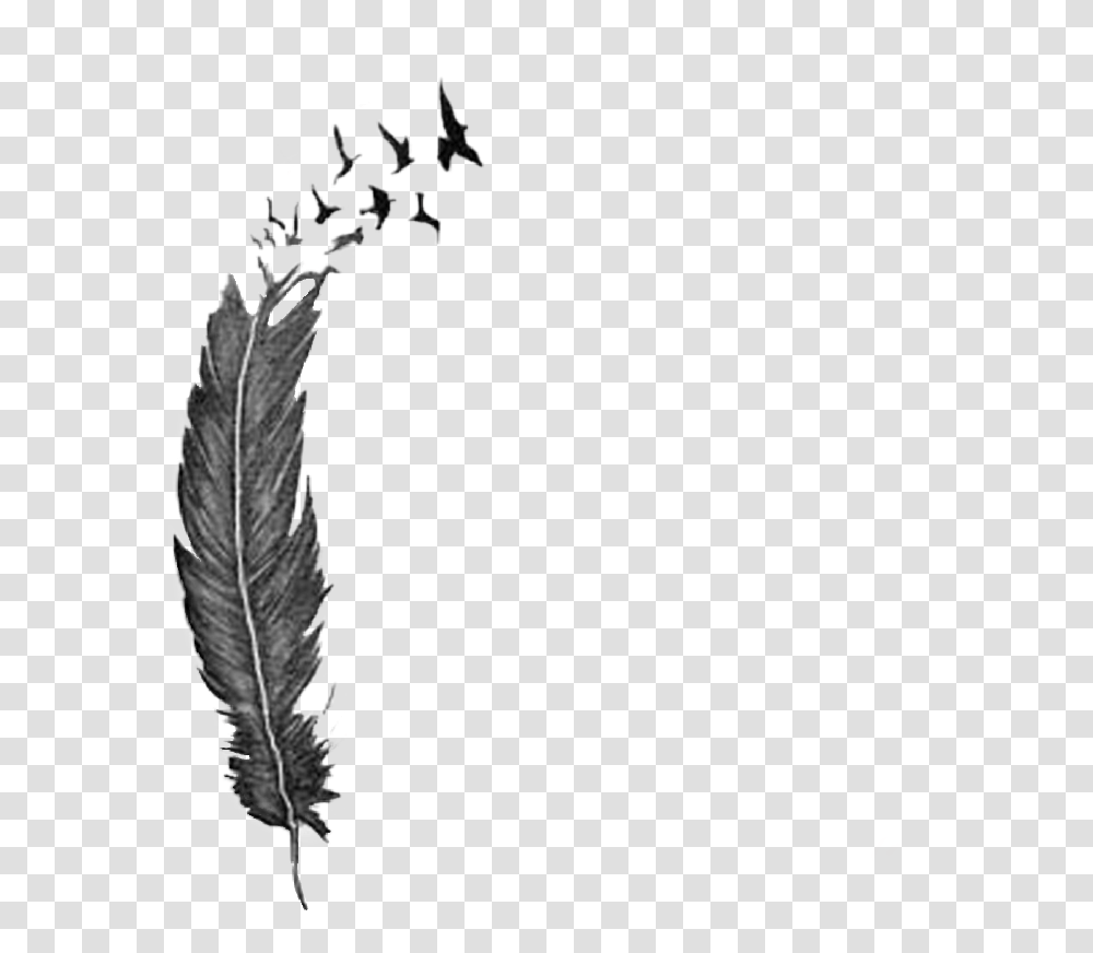 Feather Tattoo Freetoedit Feather Breaking Into Birds Tattoo, Apparel, Footwear, Boot Transparent Png