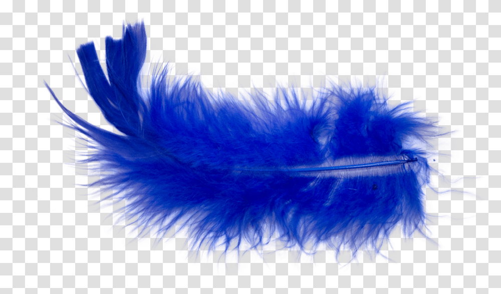 Feather Transparent Png