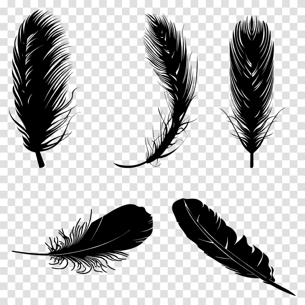 Feather Vector, Gray, World Of Warcraft Transparent Png