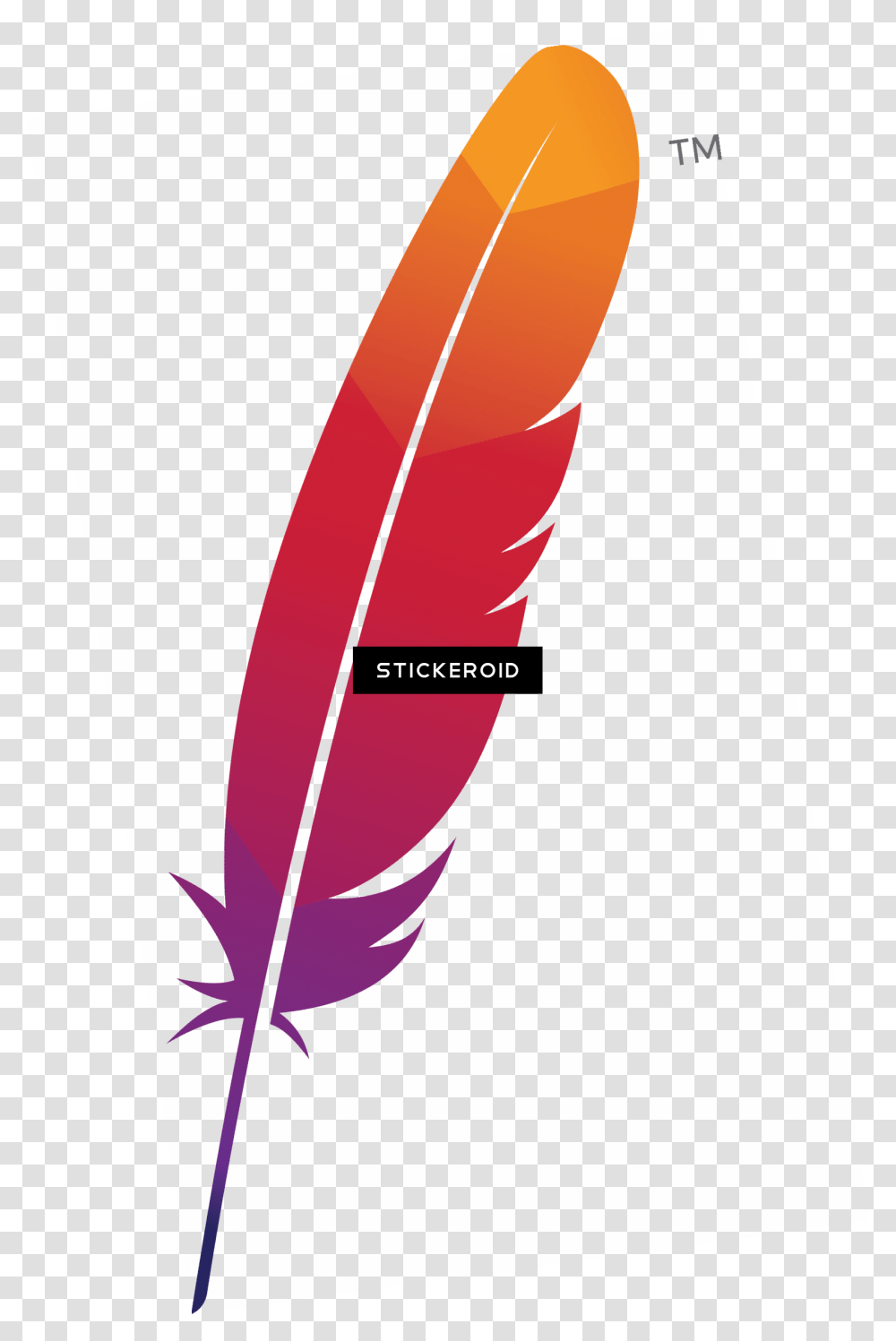 Feather, Water, Sea, Outdoors, Nature Transparent Png