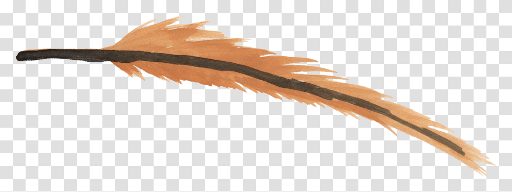 Feather Watercolor Brown, Nature, Outdoors, Wood, Soil Transparent Png