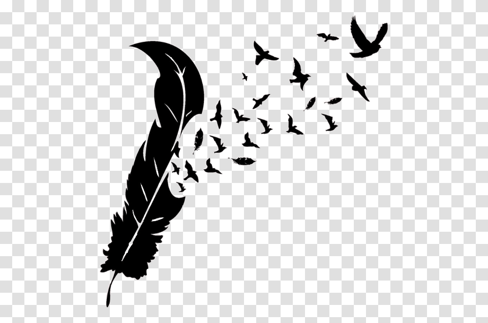 Feather With Birds Silhouette Feather With Bird Silhouette, Handwriting, Calligraphy, Alphabet Transparent Png