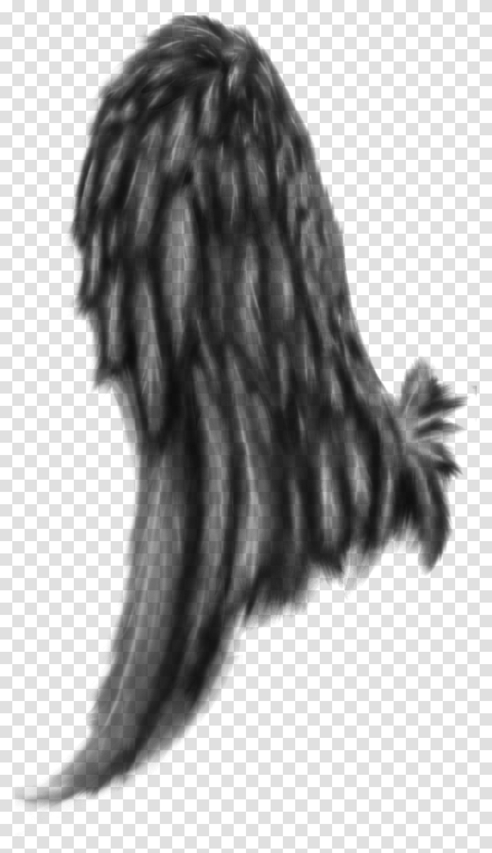 Feathered Wing, Gray, World Of Warcraft Transparent Png