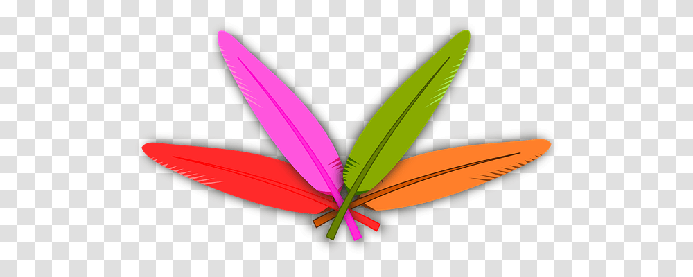 Feathers Animals, Plant Transparent Png