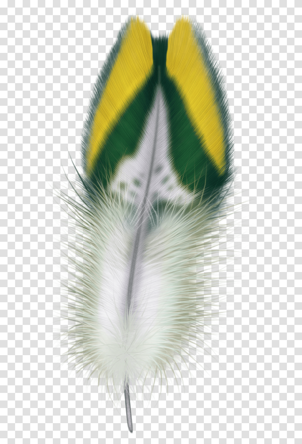 Feathers, Bird, Animal, Plant, Crystal Transparent Png