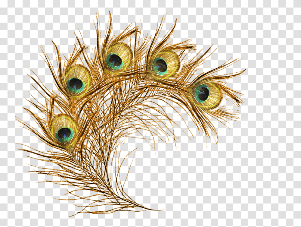 Feathers Clipart Peacock Gold Peacock Feathers, Bird, Animal, Pattern, Ornament Transparent Png