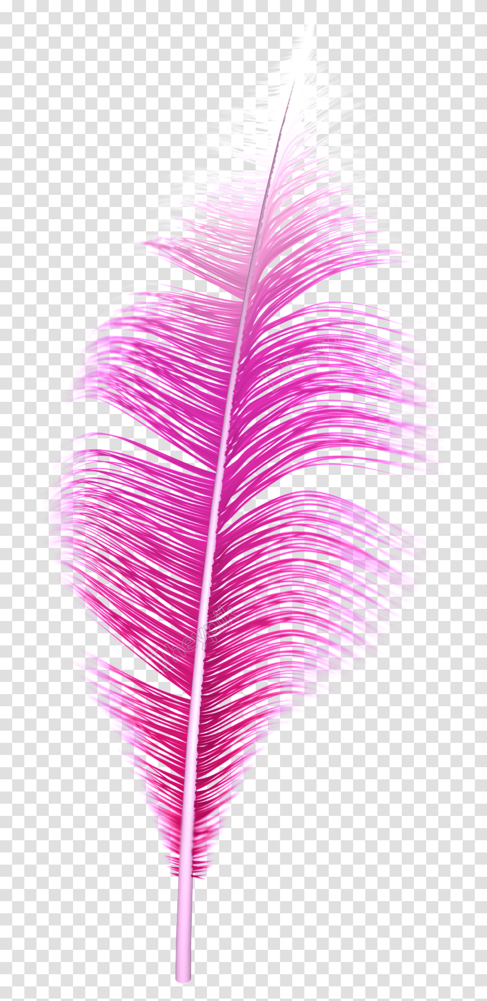 Feathers Feather Pink, Purple, Light, Neon, Pattern Transparent Png