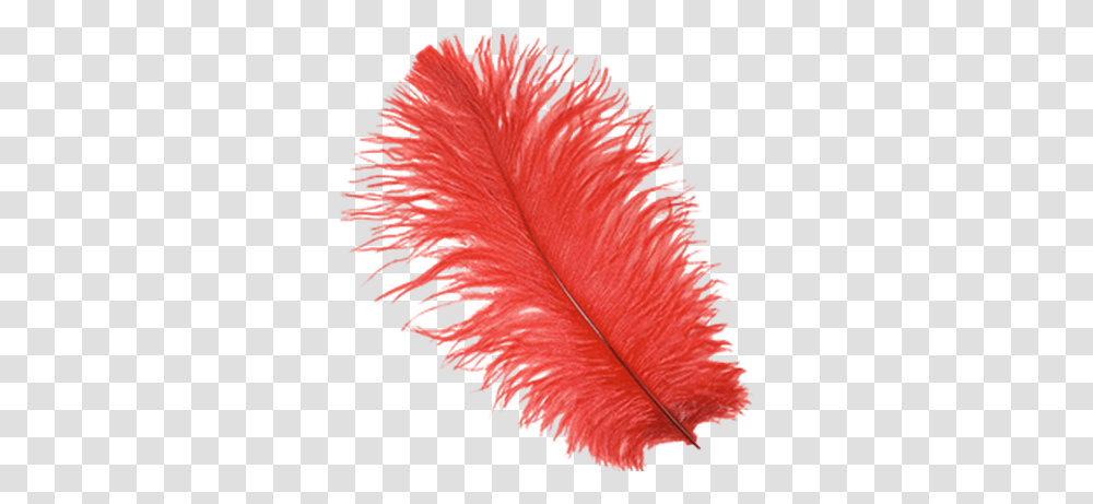 Feathers Images Red Feather, Leaf, Plant, Pollen, Flower Transparent Png