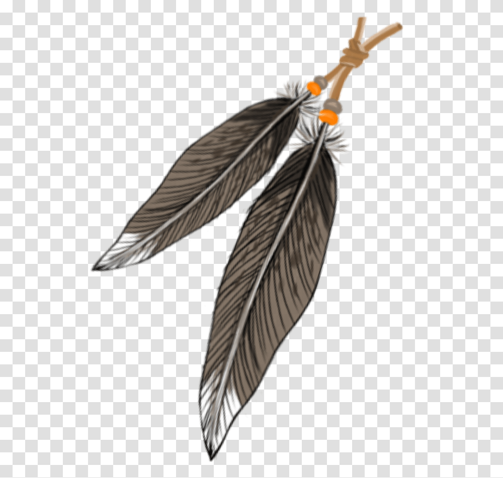 Feathers Indian Freetoedit Twig, Bird, Plant, Weapon, Leaf Transparent Png