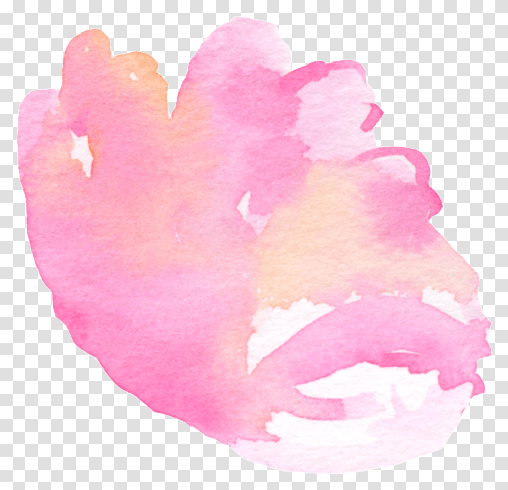 Feathers, Petal, Flower, Plant, Blossom Transparent Png