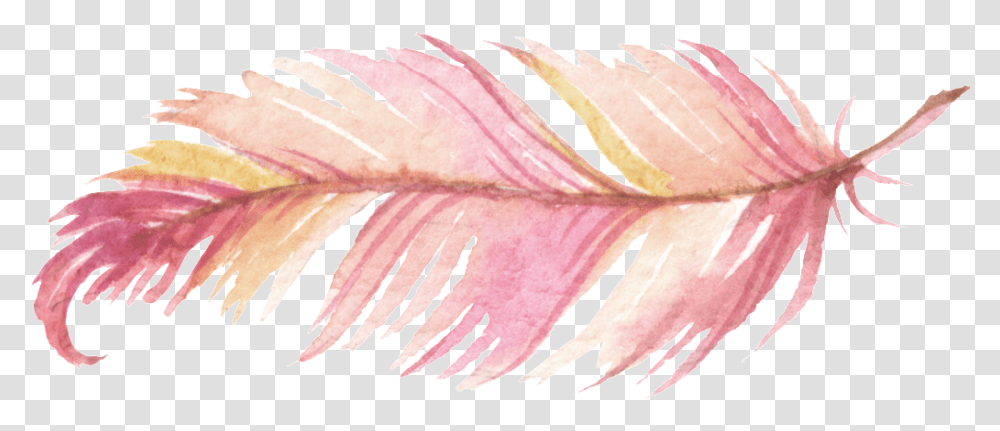 Feathers Pink Watercolor Painting Feather, Leaf, Plant, Petal, Flower Transparent Png