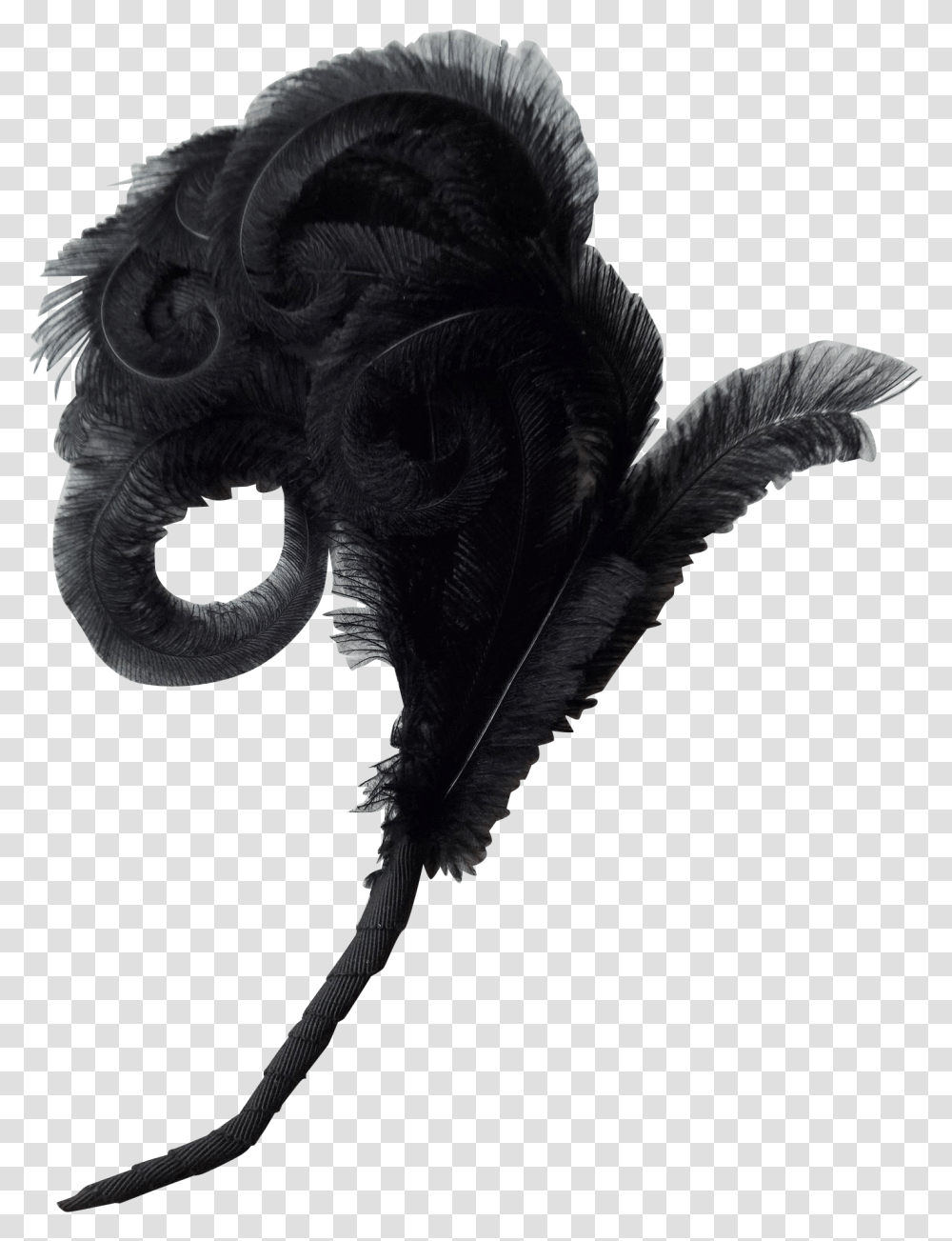 Feathers Victorian Victorian Feather Plume, Bird, Animal, Alien, Mask Transparent Png
