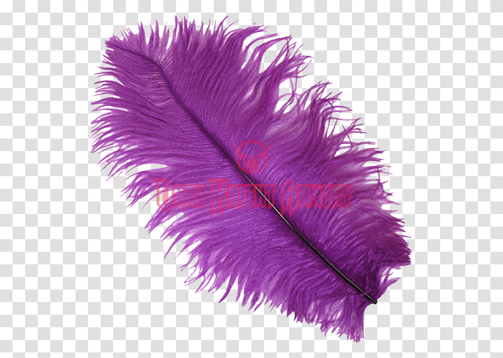 Feathers Wispy Background Purple Feather, Pattern, Fractal, Ornament, Sea Life Transparent Png