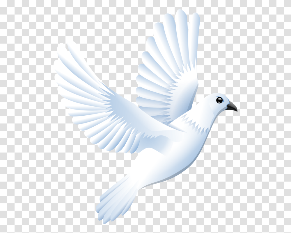 Featherwingbird White Dove Clipart, Animal, Pigeon, Beak, Flying Transparent Png