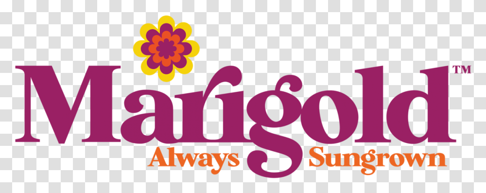 Featured Brands Marigold Sunflower, Text, Alphabet, Label, Graphics Transparent Png