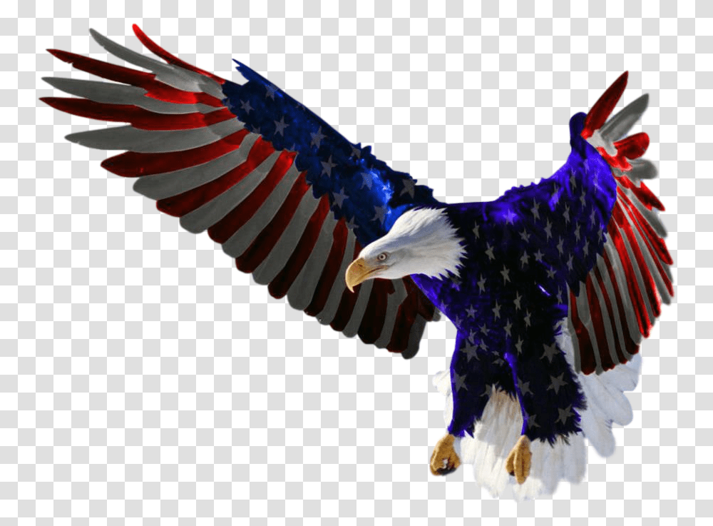 Features American Flag Eagle Clipped Rev Eagle Flying American Flag, Bird, Animal, Bald Eagle, Chicken Transparent Png