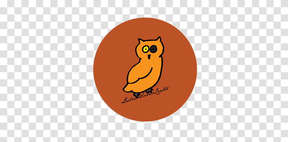 February David Bowie Owl Beaver Button Diary, Animal, Bird, Cat Transparent Png