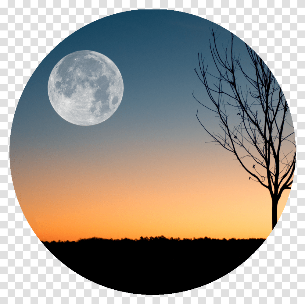 February Full Moon 2019, Nature, Outdoors, Outer Space, Night Transparent Png
