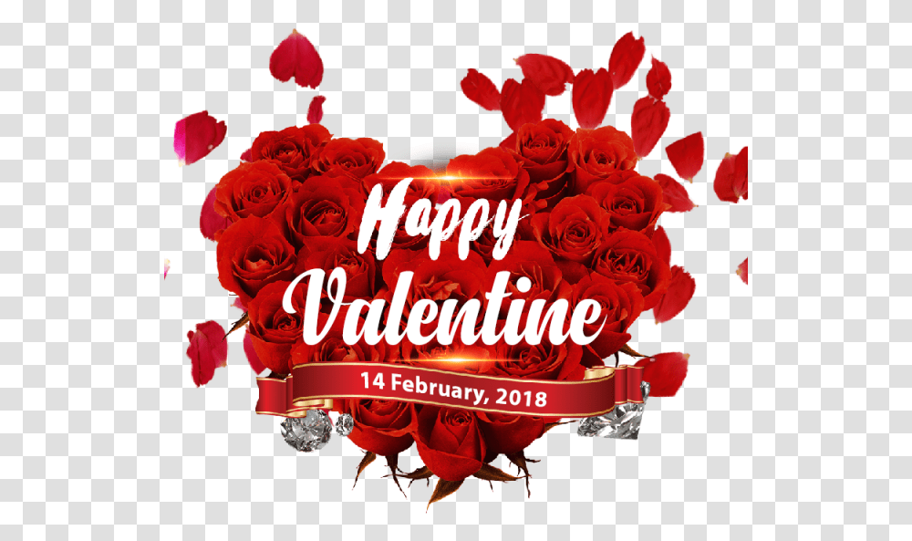 February Valentinequots Day 14 Happy Free Hq Image Clipart, Rose, Flower, Plant Transparent Png