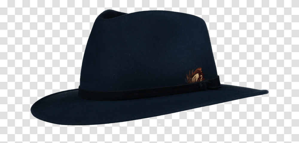 Fedora, Apparel, Cowboy Hat, Cushion Transparent Png