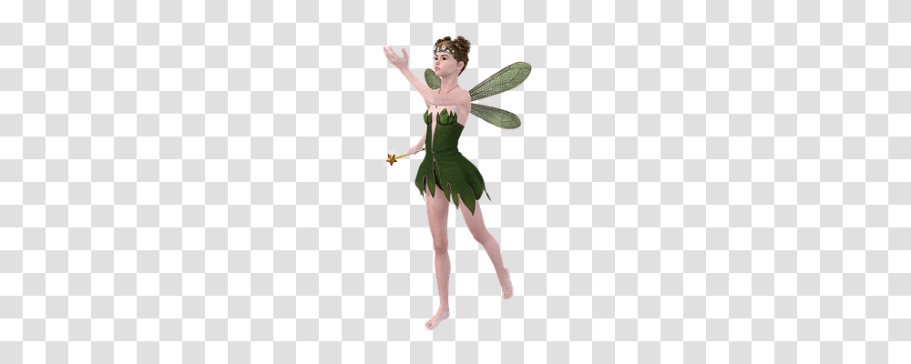 Fee Person, Costume, Elf Transparent Png