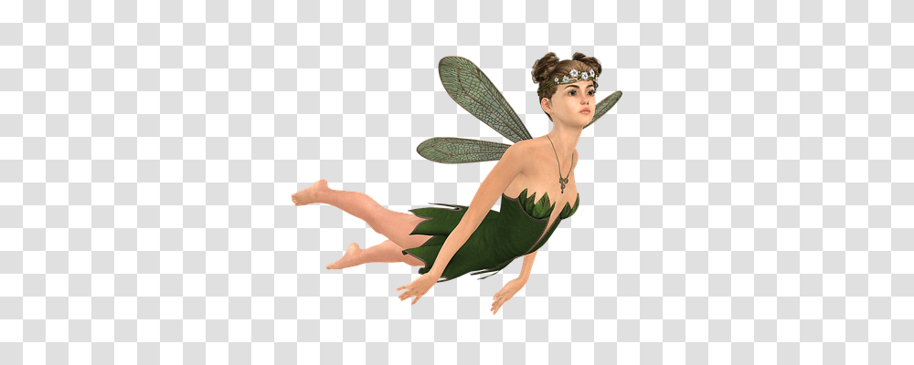 Fee Person, Animal, Invertebrate, Insect Transparent Png