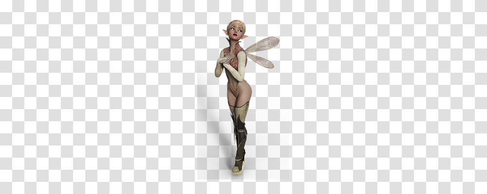 Fee Person, Costume, Female Transparent Png