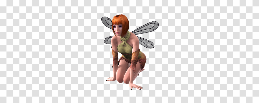 Fee Person, Human, Insect, Invertebrate Transparent Png