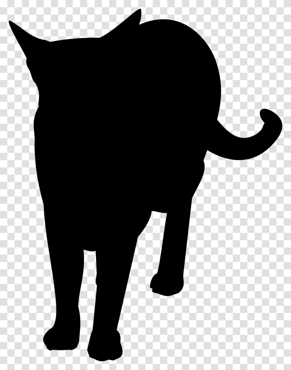 Feel Free To Use This Cat Silhouette For Your Own Projects Domestic Short Haired Cat, Gray, World Of Warcraft Transparent Png