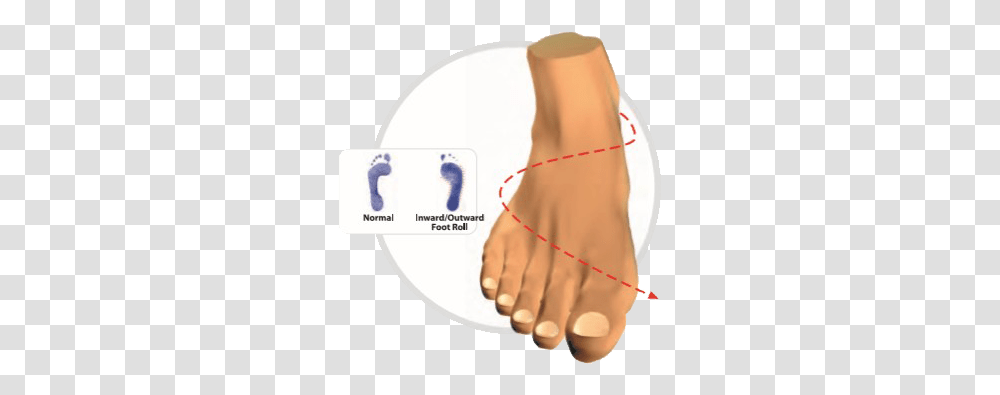 Feet Archives 2ft Love Your Feet Hand, Toe, Plot, Injury, Heel Transparent Png