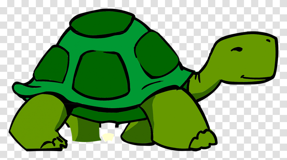 Feet Clipart Turtle, Green, Animal, Reptile, Iguana Transparent Png