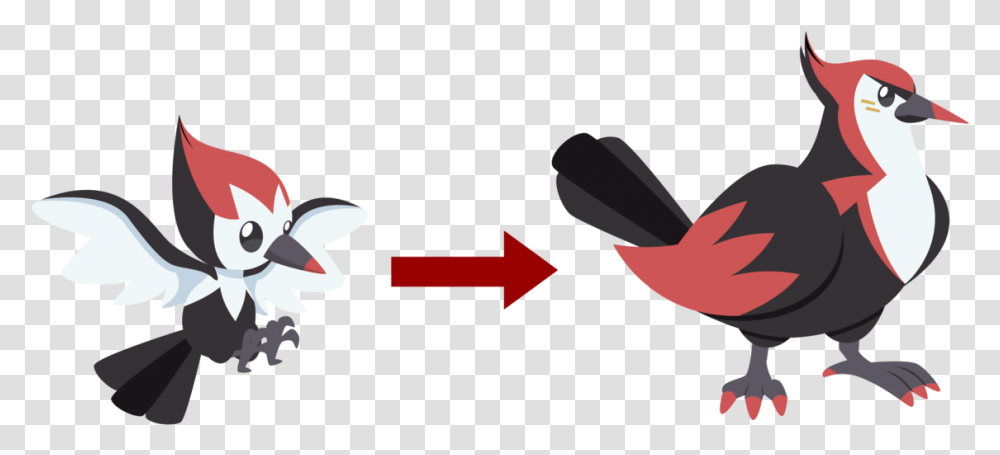 Feet Clipart Woodpecker Eagle Fan Made Pokemon, Bird, Animal, Outdoors, Text Transparent Png