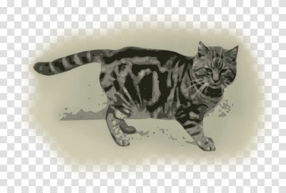 Felidaebengaltail Grey And Black Tortoiseshell Cat, Manx, Pet, Mammal, Animal Transparent Png