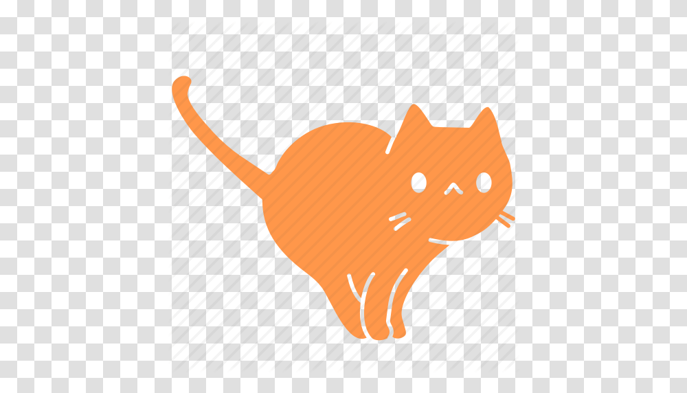 Feline Clipart Orange Cat, Mammal, Animal, Rodent, Pet Transparent Png
