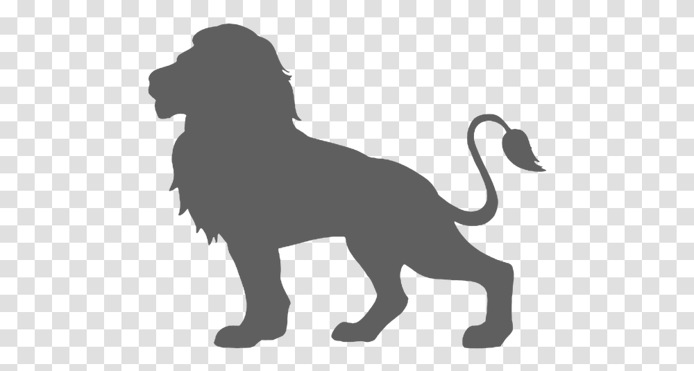 Feline Cut Out Silhouette Vector Animal Head Lion Silhouette, Person, Human, Mammal, Stencil Transparent Png