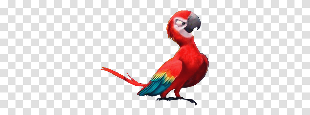 Felipe Heroes And Villians Wiki Fandom Rio 2 Red Bird, Animal, Parrot, Flamingo, Macaw Transparent Png